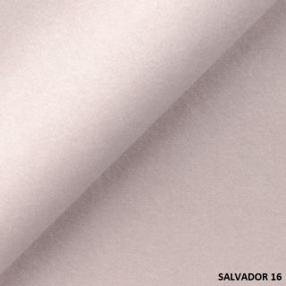 SALVADOR (17)