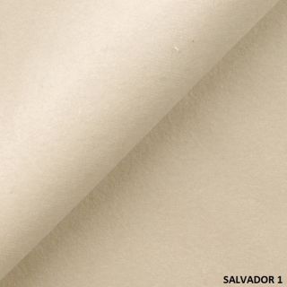 SALVADOR (2)