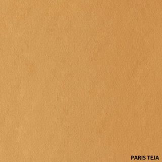 PARIS (38)