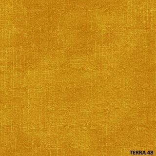 TERRA (9)