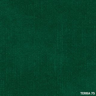 TERRA (16)