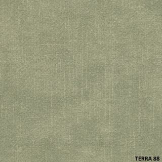 TERRA (20)