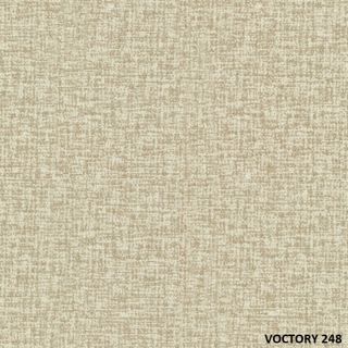 VICTORY (7)