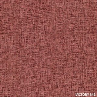 VICTORY (12)