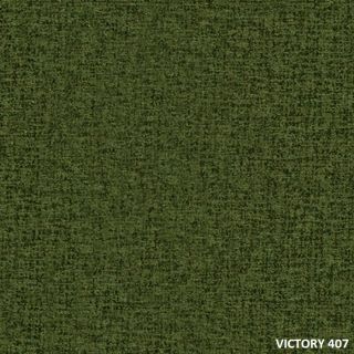 VICTORY (17)