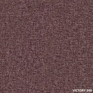 VICTORY (14)