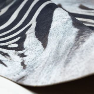 Zebra G5128-1 (11)